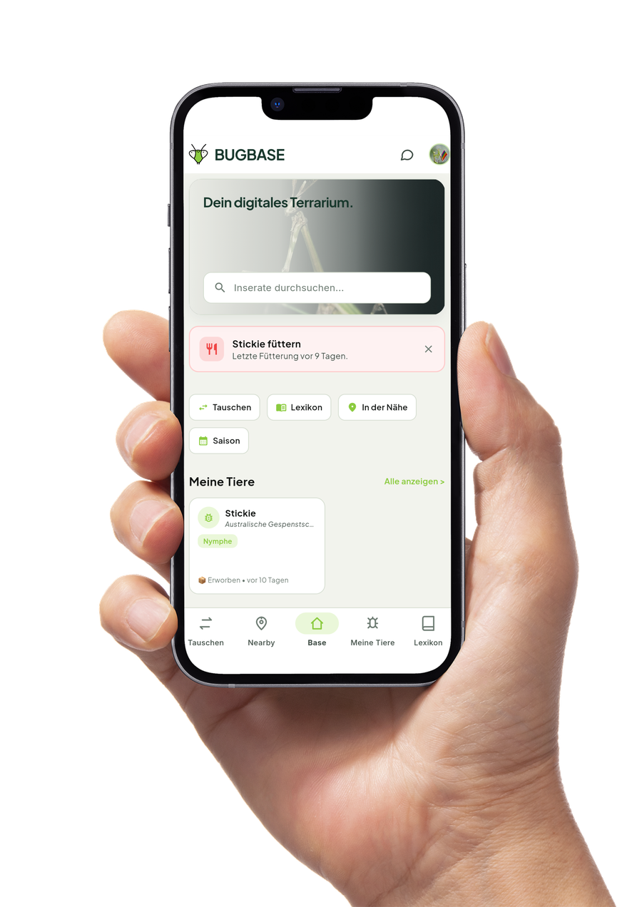 BUGBASE App auf dem Smartphone: Base mit Haltungshinweisen, Log und Market
